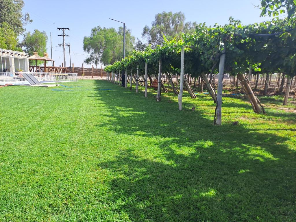 Cabañas en San juan