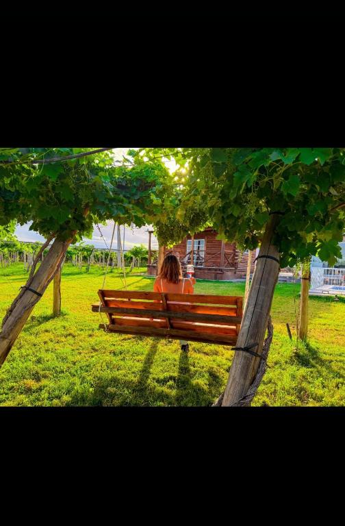 Cabañas en San juan