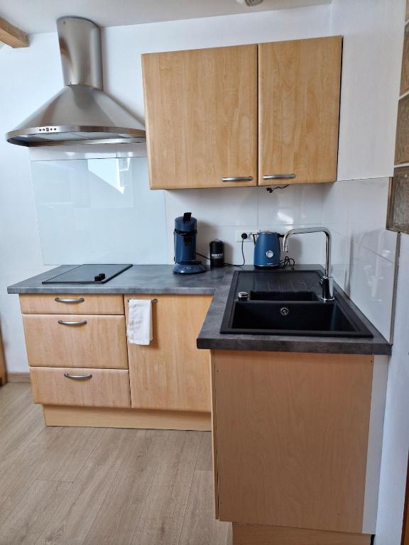 a small kitchen with a sink and a stove at Studio indépendant de 2 à 4 personnes in La Biolle