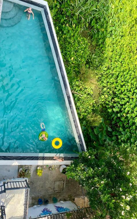 an overhead view of a swimming pool with people in the water at southern grace hotel in Unawatuna