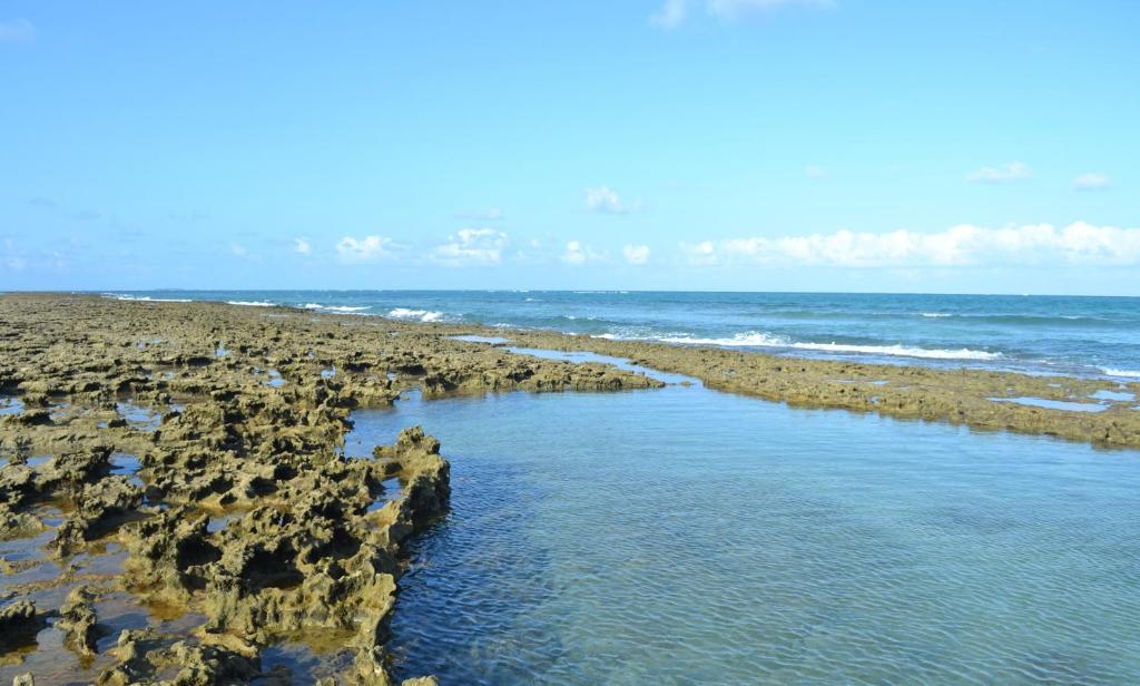  Flat Praia dos Carneiros