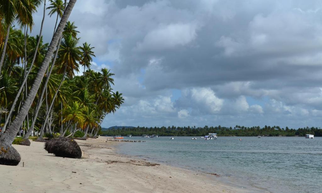  Flat Praia dos Carneiros
