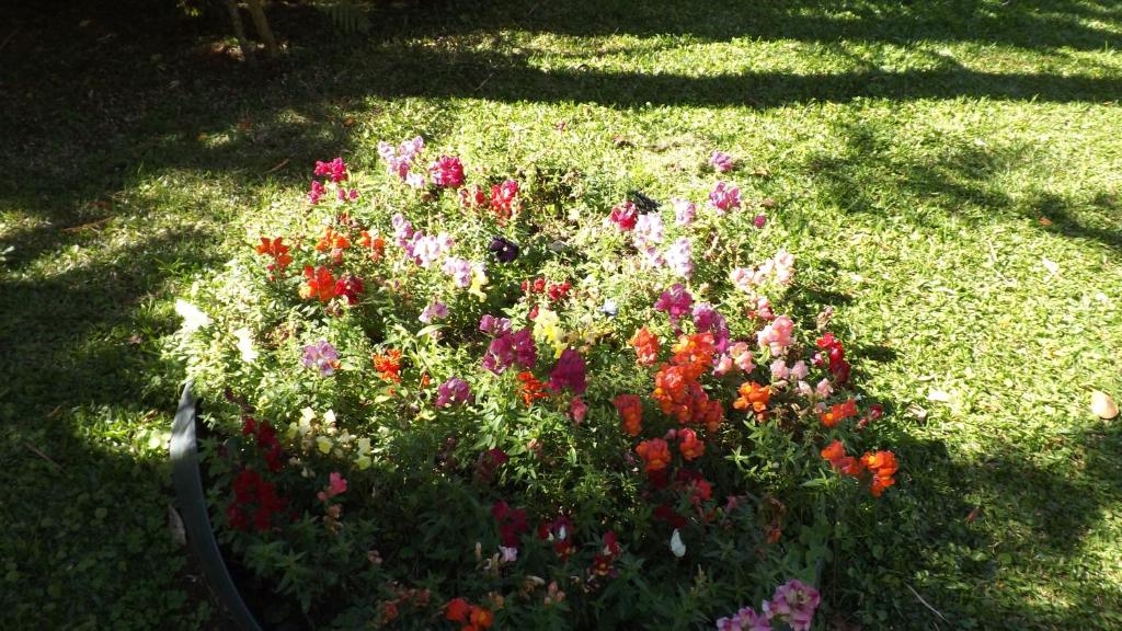 Apartamento Tirol - Próximo ao Lago Negro  Apartamento Tirol - Próximo ao Lago Negro