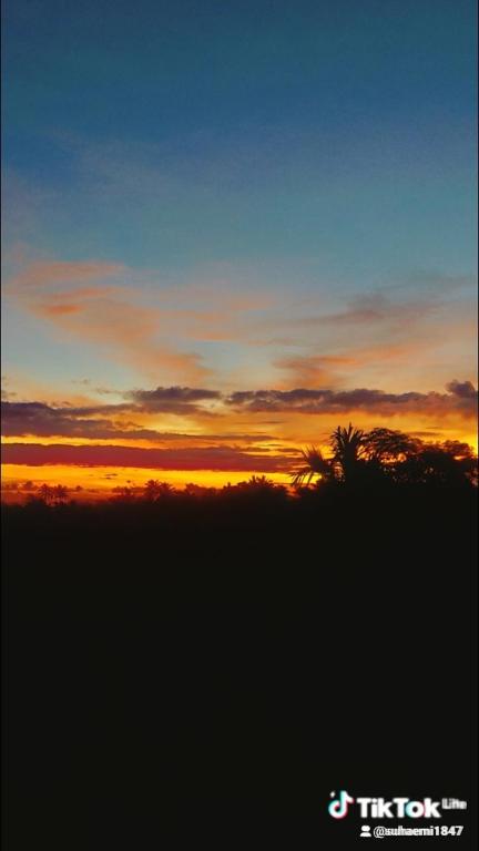 a sunset with a palm tree in the sky at SKY SUNSET Bungalows in Tetebatu