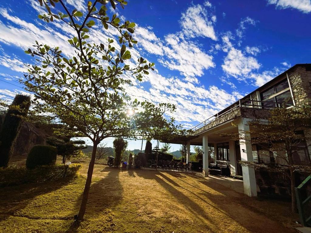 a tree in a yard next to a building at Dev Cottage in Mount Ābu