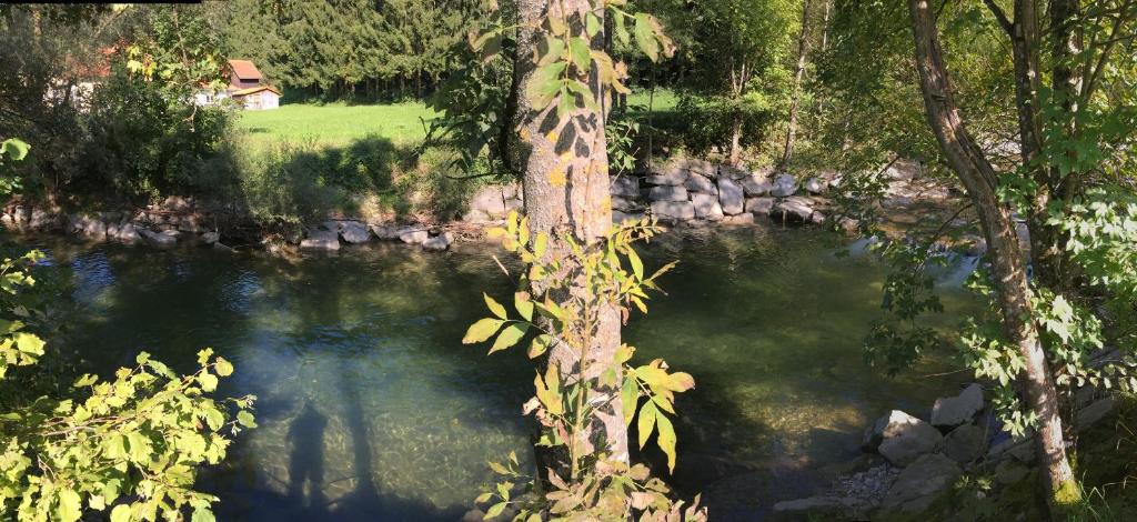 Paesaggio naturale nelle vicinanze della casa vacanze