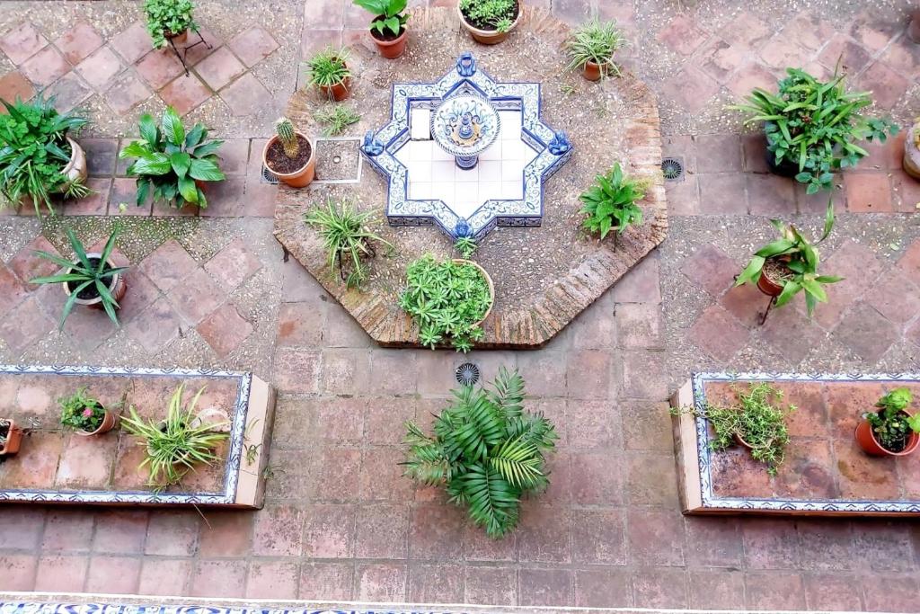 San Bernardo Lux + Parking