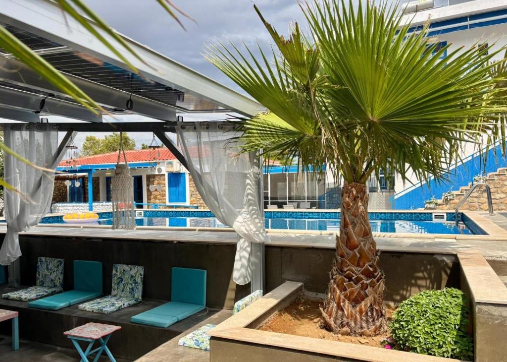 a palm tree in a planter next to a pool at ELPIDA Suites - Mandra, Greece in Mándra