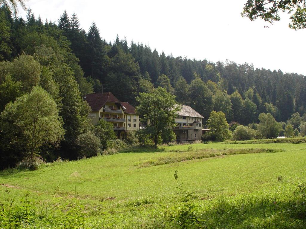 Příroda nedaleko hotelu