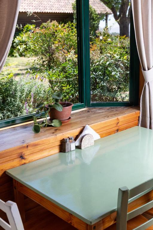 מצפה השלום – תמונה 8