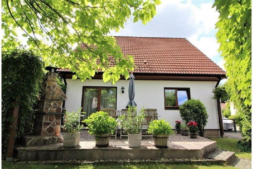 a house with potted plants in front of it at Landlust in Lübbenau