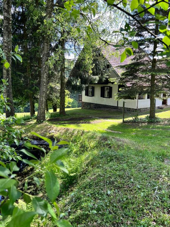 a house in the middle of a yard with trees at Chata Rychnovanka in Zdobnice