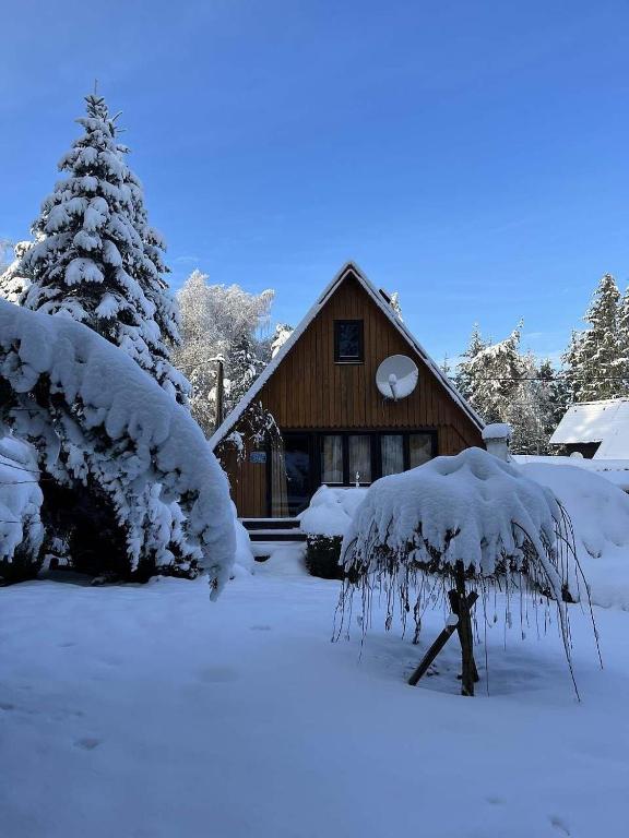 a house covered in snow with a christmas tree at chata u Ondrucha in Tři Studně