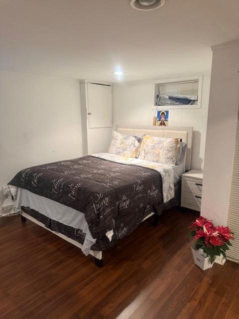 a bedroom with a bed in a room at Cozy Studio in Elmont