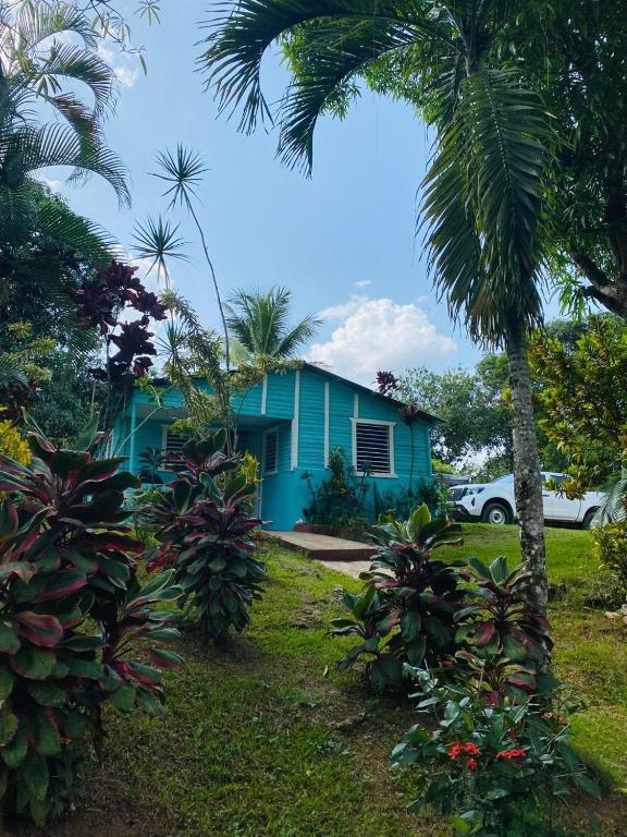 a blue house with a palm tree in front of it at Casa de Campo Vive in Ensanche Savica de Mendoza