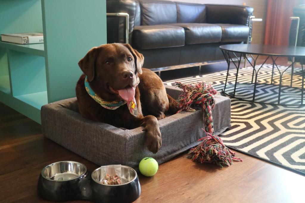 ProfilHotels Central - Resim 29