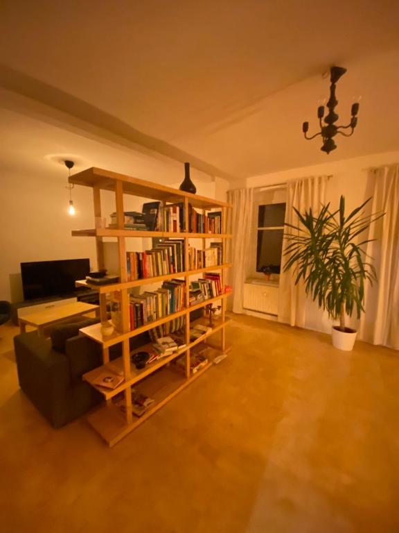 a living room with a book shelf filled with books at Stadtgarten in Meißen