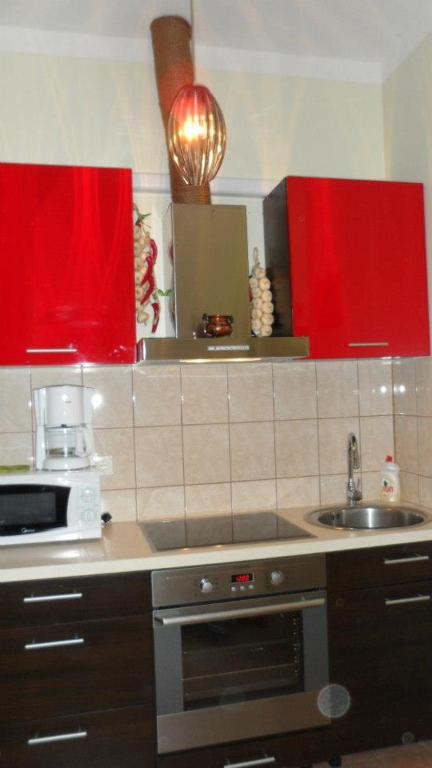 Kuchyň nebo kuchyňský kout v ubytování Chelsea Roosi 11 Apartment