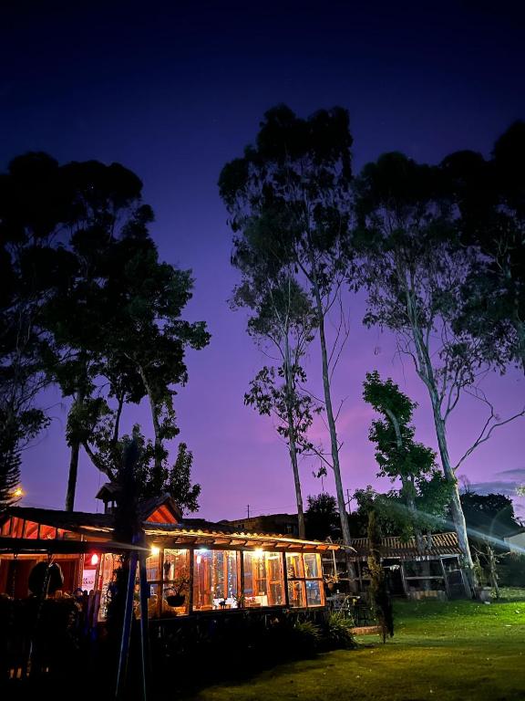 a restaurant at night with trees in the background at Las Orquídeas EcoHostel in Guarne