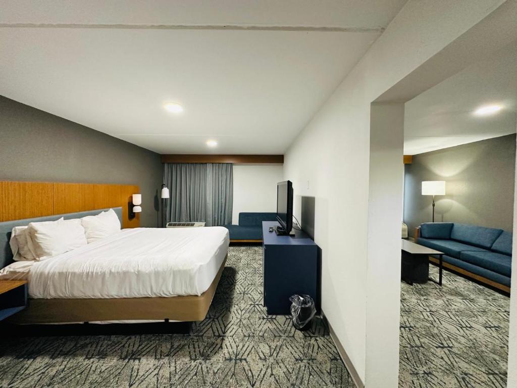 Ashbourne Hotel Canton Hall of Fame I-77 - Suite - Lit King Non-Fumeur