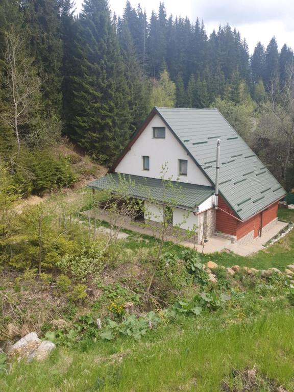 a house on a hill with trees in the background at Star Panzió in Harghita-Băi
