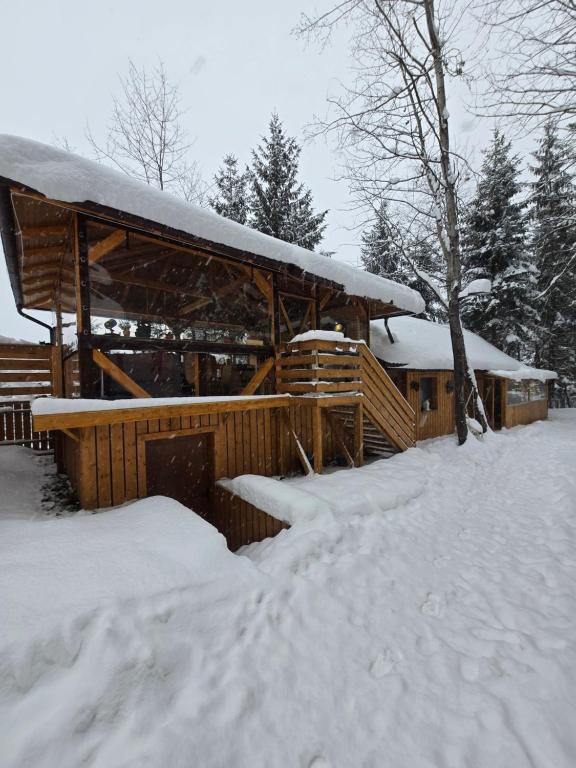 a wooden cabin in the snow with snow covered ground at Casuta Cerbului Colibita in Colibiţa
