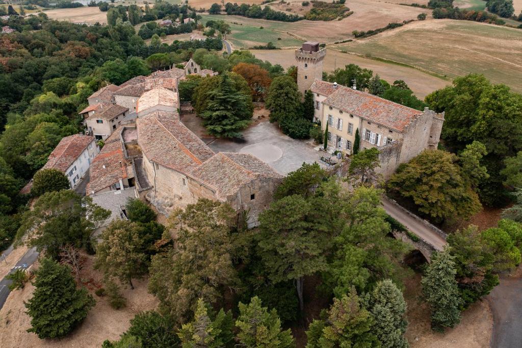 an aerial view of an old castle with trees at Le Château de La Pomarède in La Pomarède