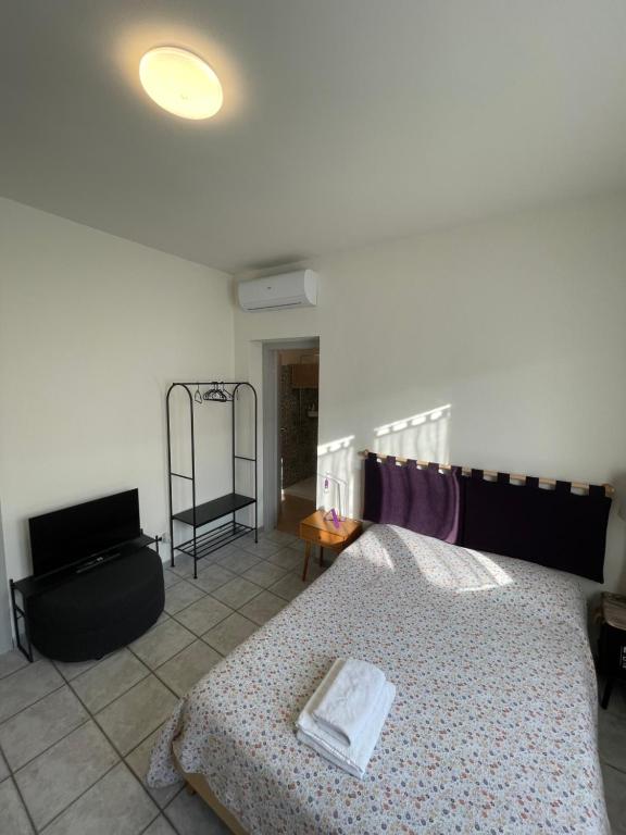 a bedroom with a bed and a television in it at Un mondo in pianura in Turano Lodigiano