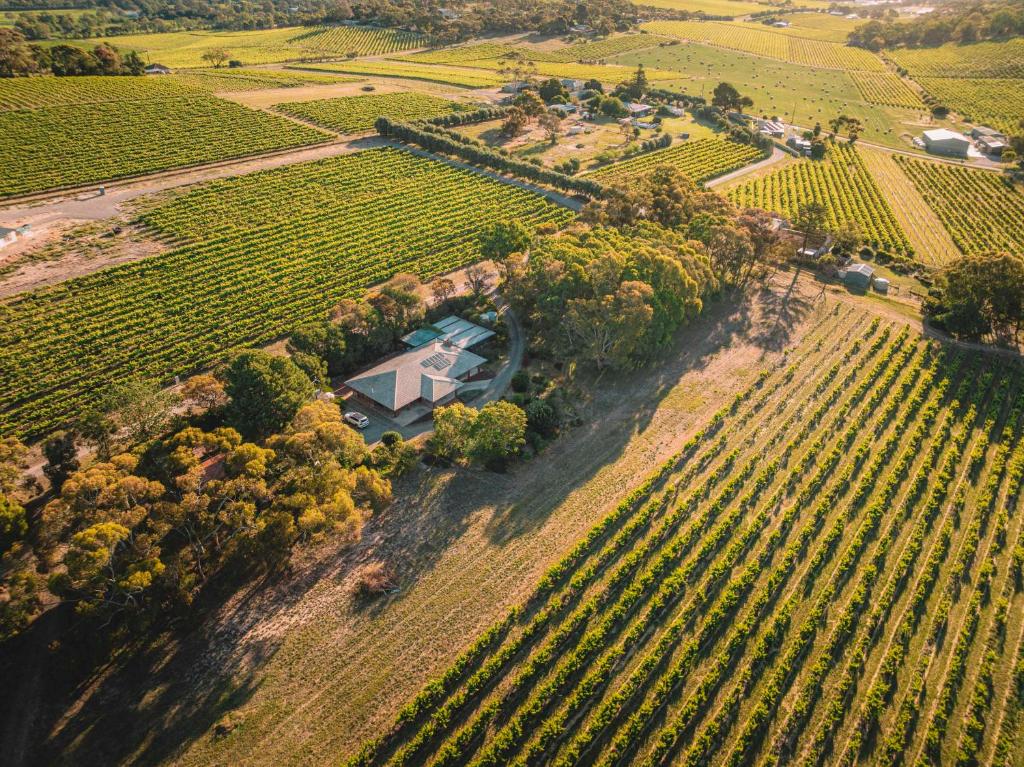 an aerial view of a farm with a house in a field at Vineyard Retreat in the Heart of McLaren Vale in McLaren Vale