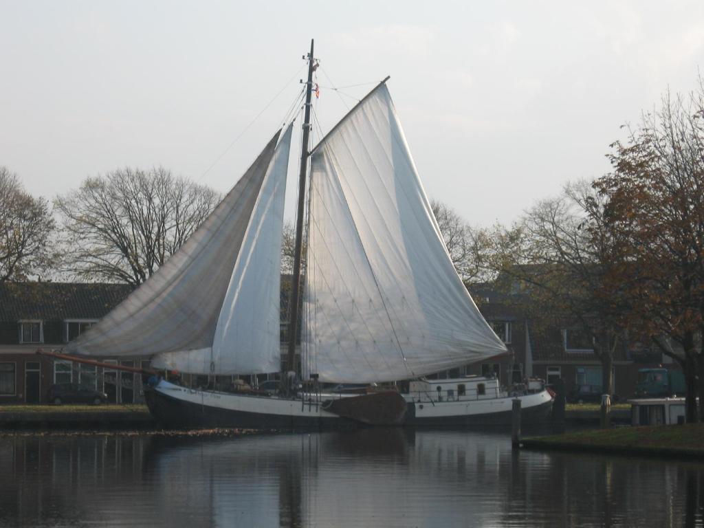 萊頓的住宿－Zeilschip De Vrouw Dina，一艘帆船,上面有白色的帆,坐在水里