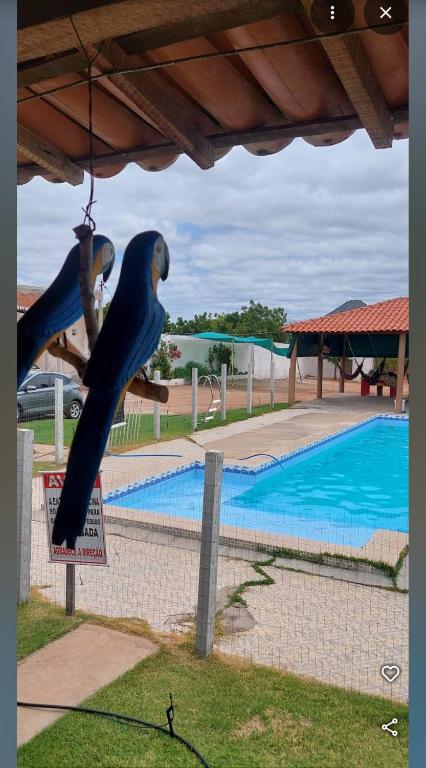 a statue of a bird hanging from a fence next to a swimming pool at Pousada Paraiso in Canudos