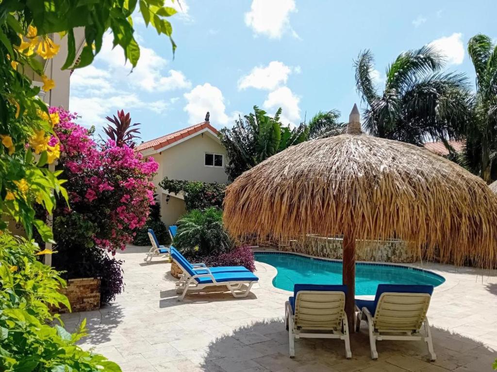 Cozy 1-bedroom-apartment 2 km from Eagle beach
