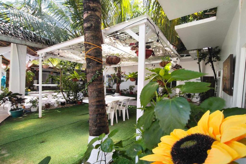 eine Terrasse mit einem Tisch und einer Sonnenblume in der Unterkunft Boracay Backpackers in Boracay