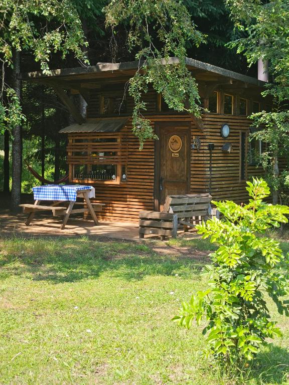 a log cabin with a picnic table in front of it at Brisas del llaima in Melipeuco