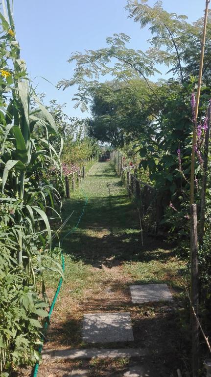 Jardin de l'établissement Farm stay Lackovic