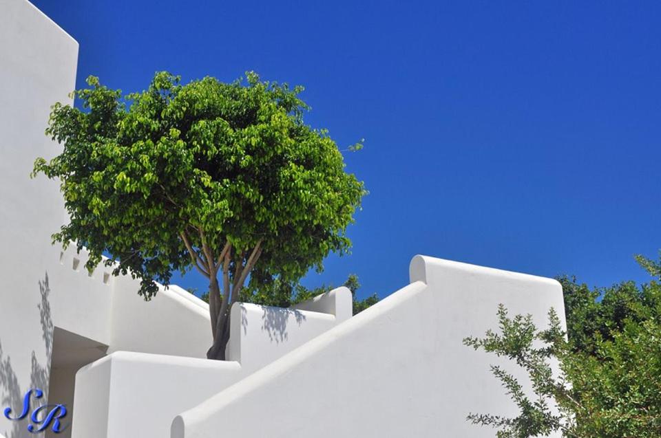 Fotografie z fotogalerie ubytování Sarakiniko Rooms v destinaci Adamas