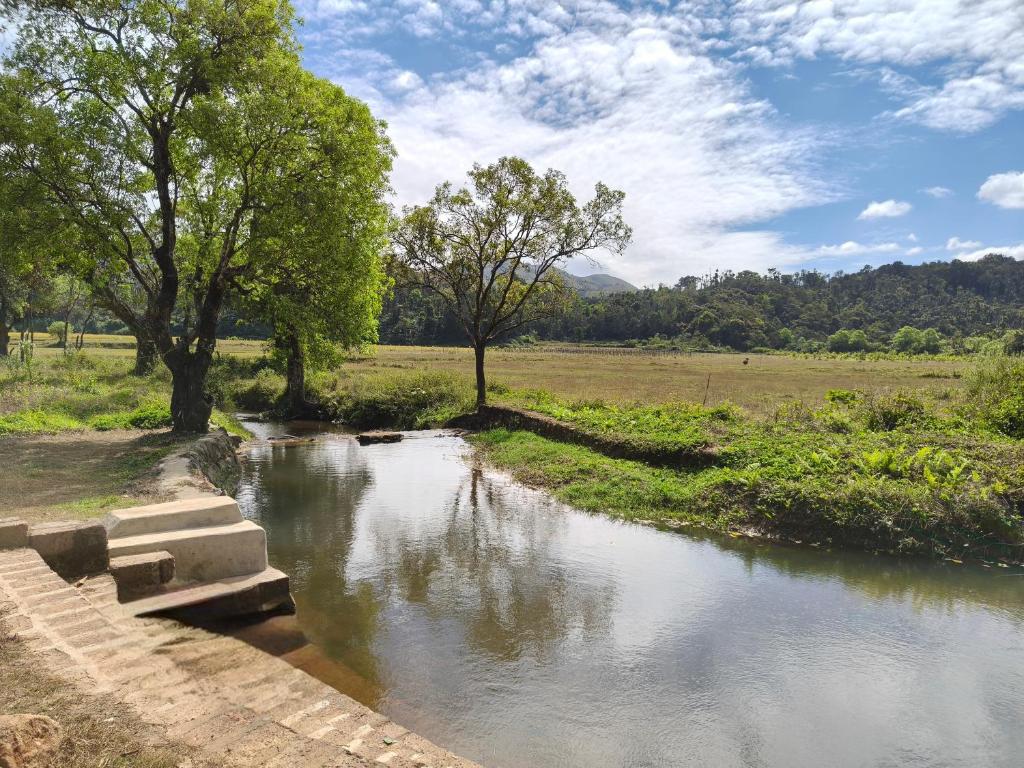 a small stream of water with trees in a field at Hidden Roots Sakleshpur in Hanbalu