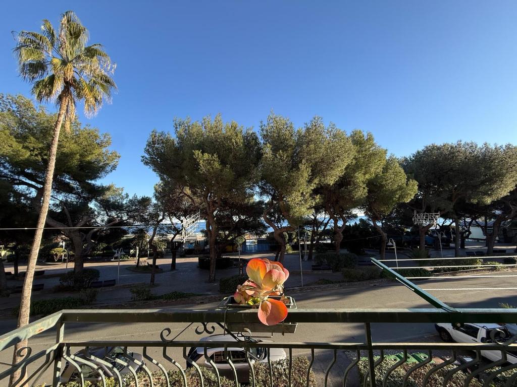 a park with a bench with a flower on it at Casa Lungomare in Arenzano
