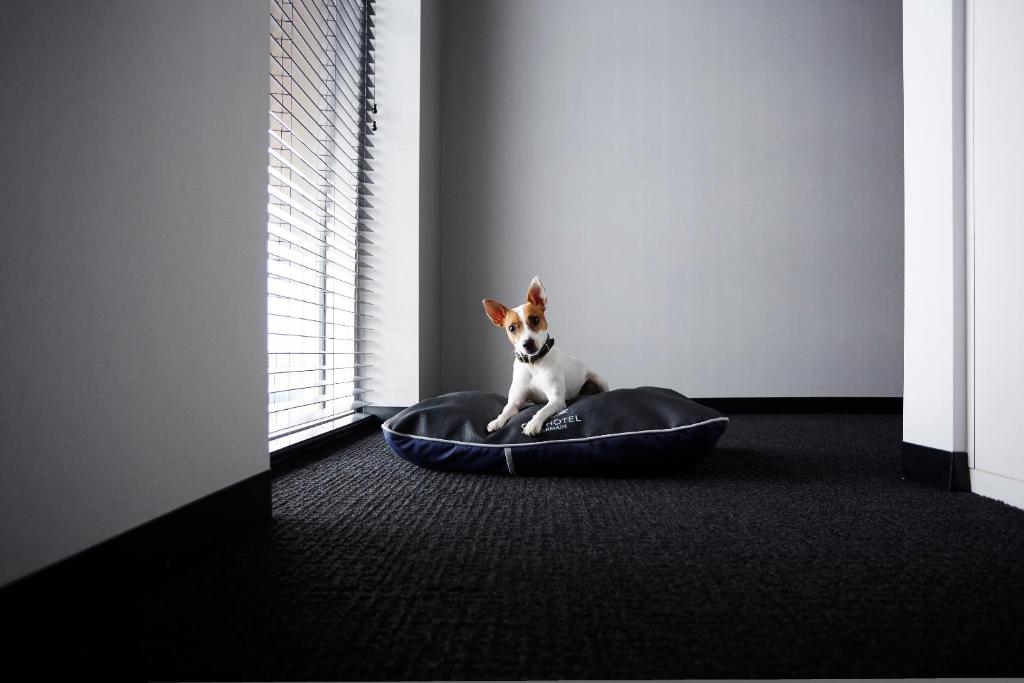 Alt Hotel Winnipeg - Resim 9