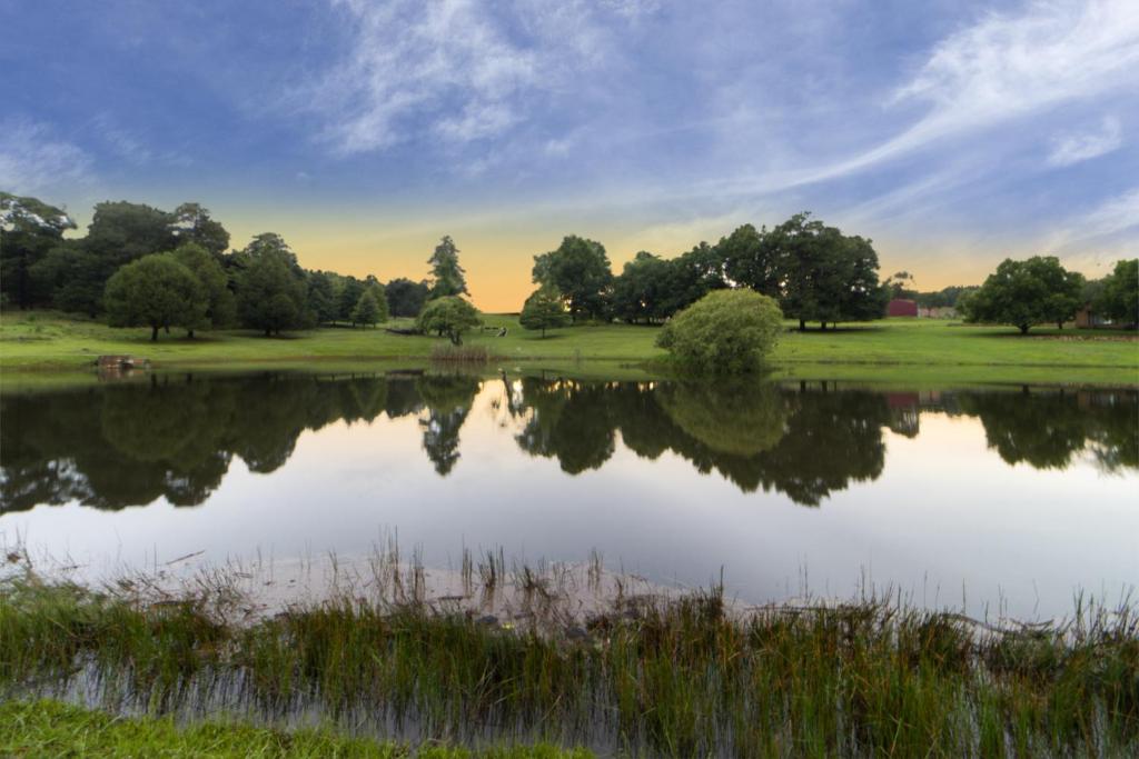 a view of a lake with trees in the background at Elgin Farm Dullstroom in Dullstroom