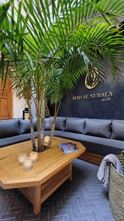 Riad Al Nubala photo