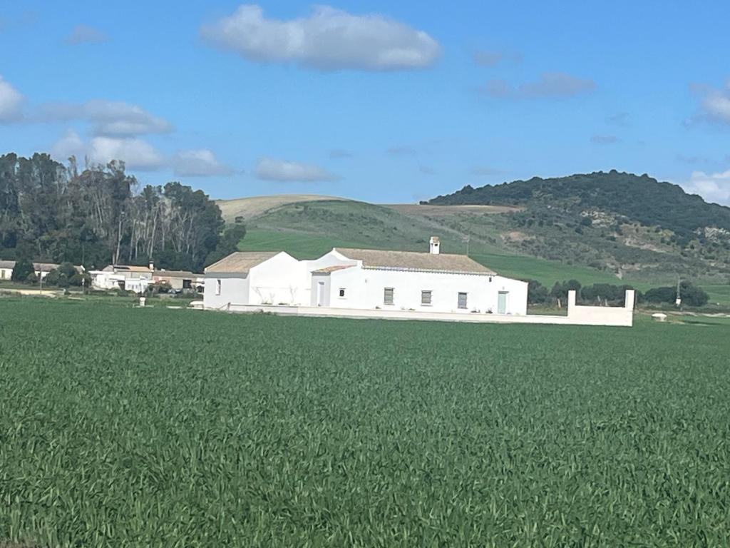 a white house in the middle of a green field at Los Granainos in Arcos de la Frontera