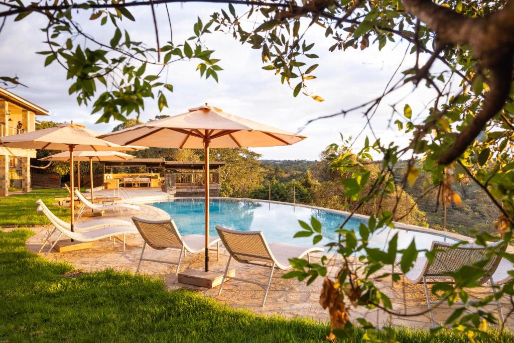 Olesamara Collection