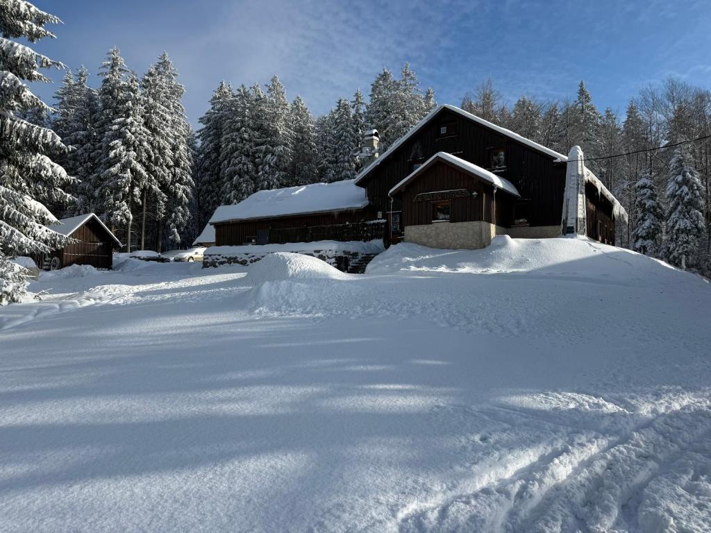 a house covered in snow with trees in the background at Penzion Kapitanka in Kořenov