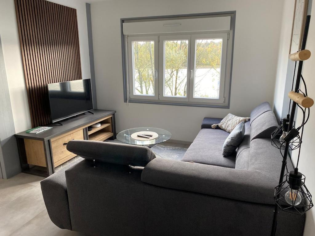 a living room with a couch and a flat screen tv at Maison Les Cygnes face au lac in Changey
