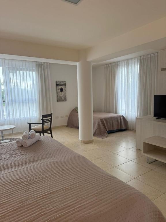 a bedroom with a bed and a desk and a television at Puerto Amarras II 01 in Santa Fe