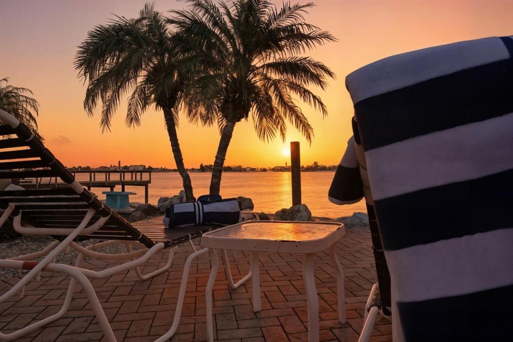 a beach with a chair and palm trees and a sunset at 107 · Boat dock- BBQ Walk to Beach GREAT VIEWS in St. Pete Beach