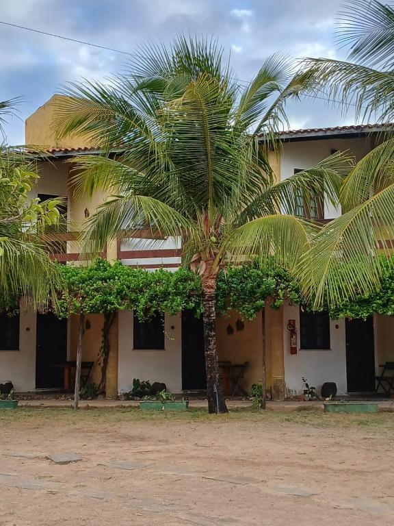 a palm tree in front of a building at Pousada Doromari in Taíba