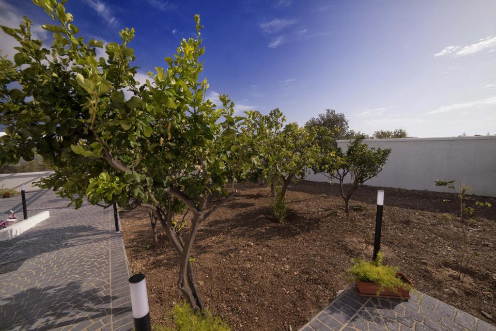 a row of apple trees in a garden at Home Scala dei Turchi B&B in Realmonte