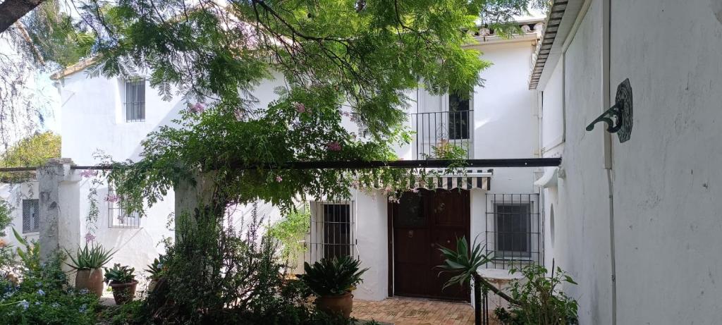 a white house with a black door and plants at Casita Molivent in Parcent